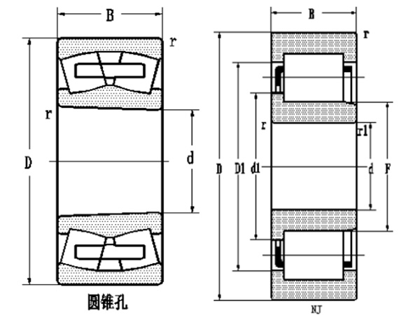 單列圓柱滾子軸承截面示意圖